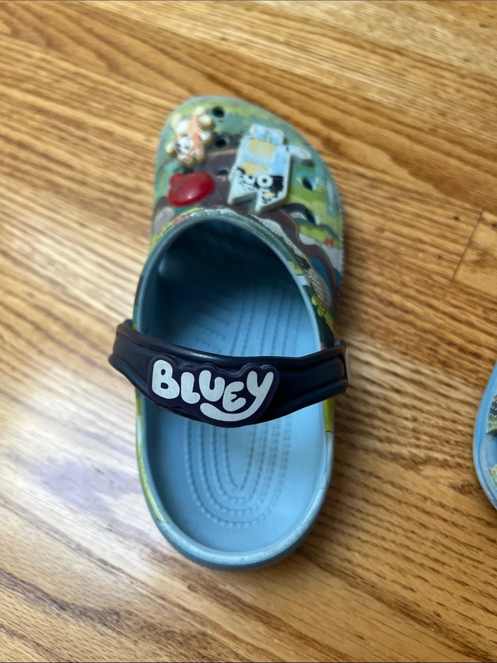 Bluey CROCS kids